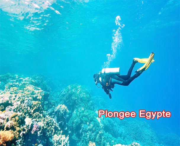 Plongee Egypte